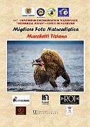 MIGLIORE FOTO NATURALISTICA MARCHETTI TIZIANA